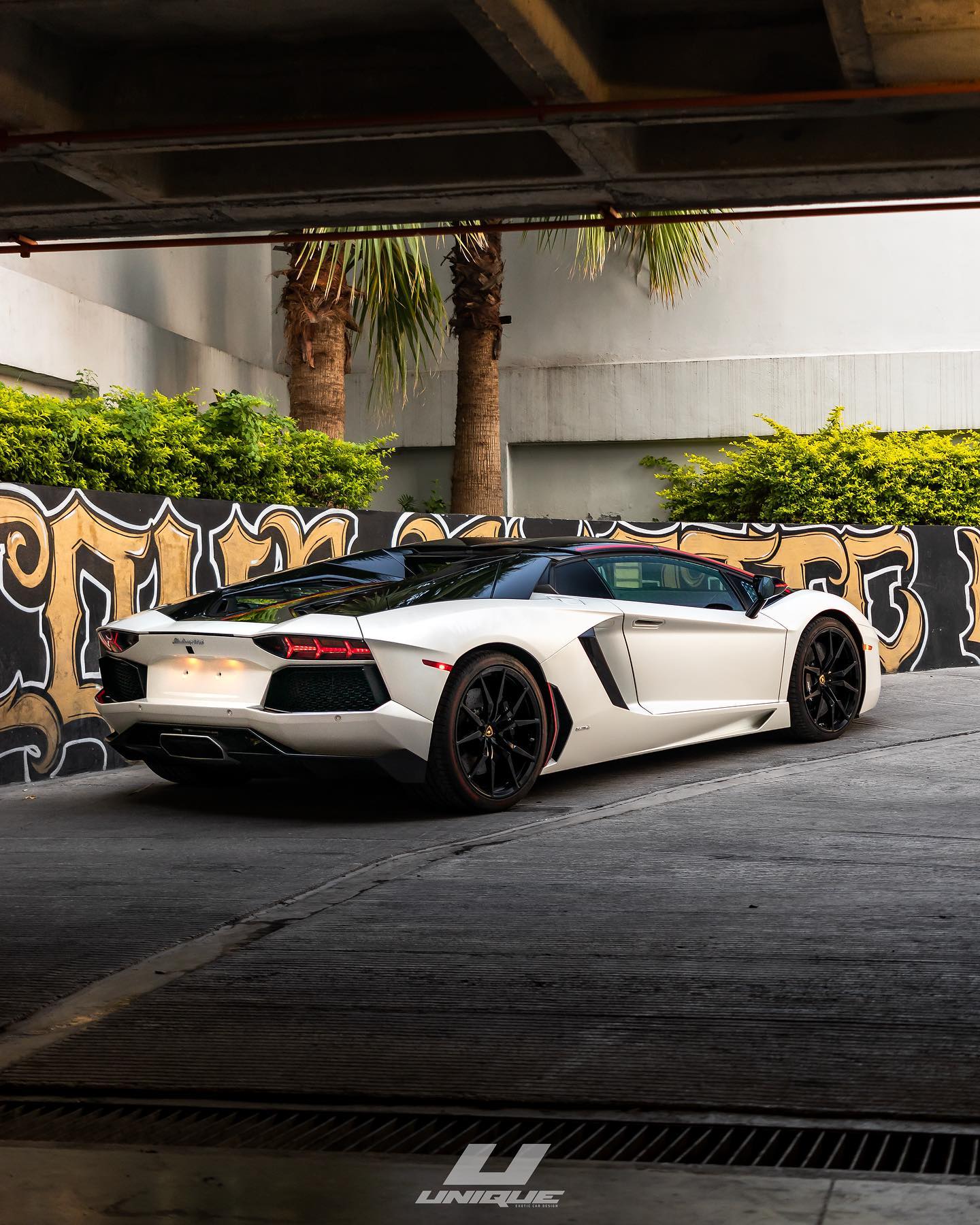 Especialistas en Estética Automotriz